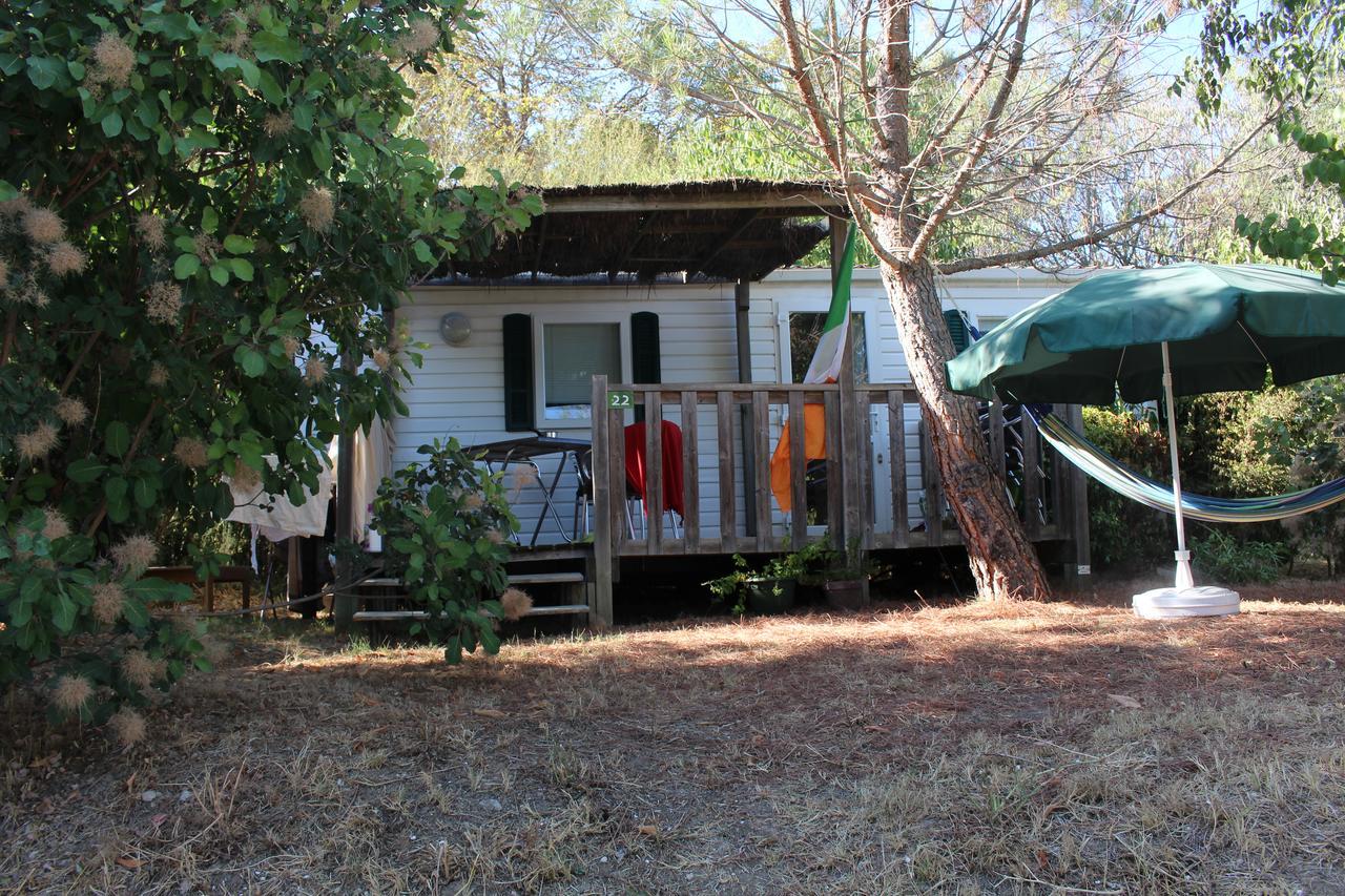 Отель Camping Forcalquier Les Routes De Provence Экстерьер фото